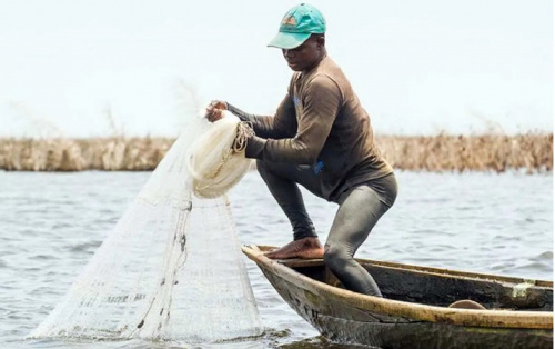 Pêche : reprise des activités sur le Lac Nangbéto