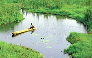 Un site du Togo intègre le Réseau mondial des réserves de la biosphère de l’Unesco