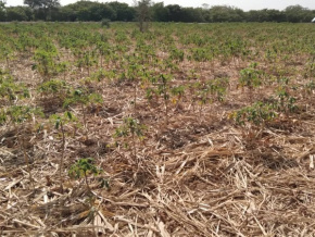 Vers une meilleure conservation des eaux et sols agricoles