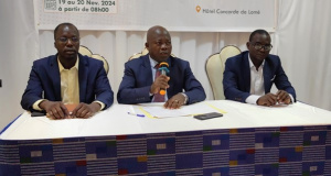 ZLECAF : le Togo explore les opportunités du commerce numérique