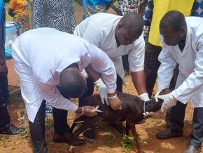 coup-d-envoi-de-la-campagne-de-vaccination-des-volailles-et-petits-ruminants