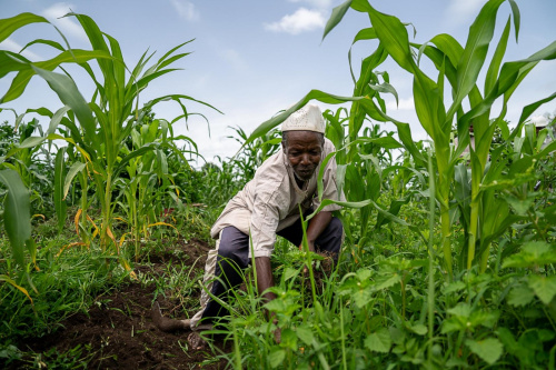 Vers une meilleure gestion des réclamations dans le secteur agricole