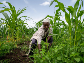 vers-une-meilleure-gestion-des-reclamations-dans-le-secteur-agricole