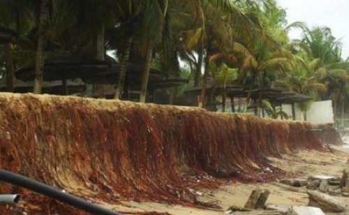 Côte d&#039;Ivoire: 33 millions $ de la Banque mondiale pour lutter contre l&#039;érosion côtière