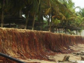 Côte d&#039;Ivoire: 33 millions $ de la Banque mondiale pour lutter contre l&#039;érosion côtière