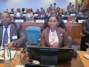 commerce-intra-africain-l-experience-du-togo-partagee-a-addis-abeba