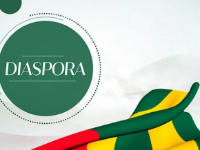 HCTE : les 48 nouveaux délégués de la diaspora sont connus