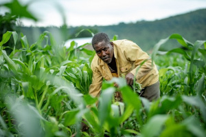 5ème Recensement national agricole : coup d&#039;envoi des opérations