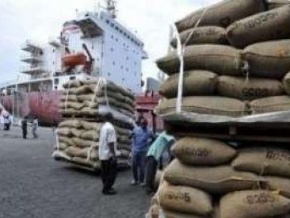 Côte d&#039;Ivoire: depuis octobre, les ports ont reçu 420 000 tonnes de cacao (Bloomberg)