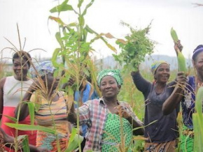 Agropoles : à Kara, le projet ‘atteint sa vitesse de croisière’