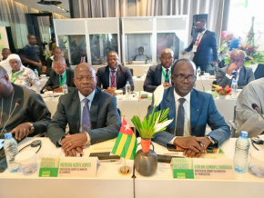 Le Togo représenté à la 5e réunion des ministres du Conseil international consultatif du cajou