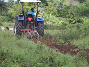 soutien-a-la-production-financement-gouvernance-le-togo-veut-ameliorer-ses-performances-agricoles