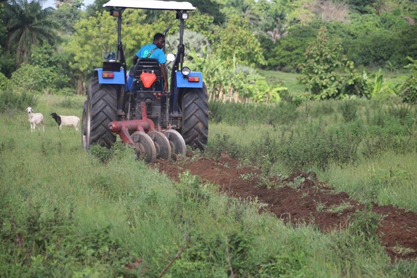 soutien-a-la-production-financement-gouvernance-le-togo-veut-ameliorer-ses-performances-agricoles