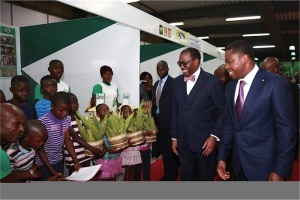 Togo: Faure Gnassingbé décore le Président de la BAD et le DG du NIRSAL en marge de la cérémonie de lancement du MIFA