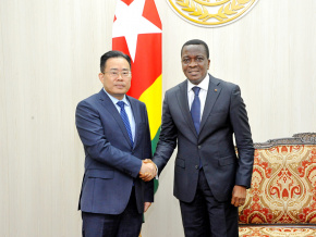 togo-chine-vers-le-renforcement-de-la-cooperation-parlementaire-entre-lome-et-shenzhen