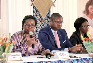 Le Togo et le Pnud font le bilan annuel de leur partenariat